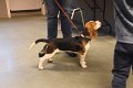 Afb_20190127_ziva (21)